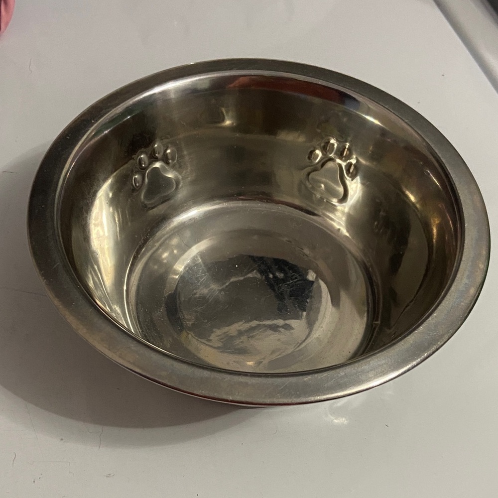 Stainless Steel Pet Bowl with Paw Design